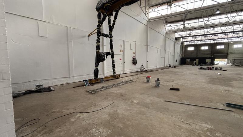 To Let commercial Property for Rent in Maitland Western Cape